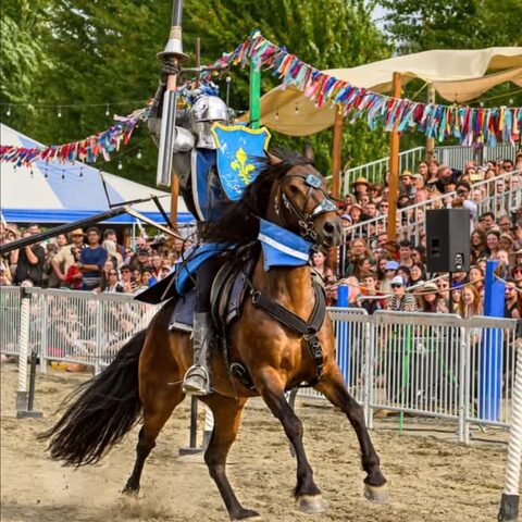 Sir Edwin galloping down the joust lane past a packed grandstand, under strings of pennants.