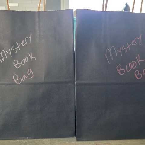 Two black paper bags with Mystery Book Bag handwritten on the front in pink.